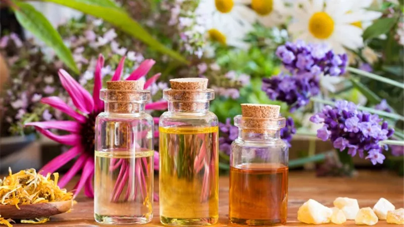 9 عطور مذهلة وجذابة لتحويل منزلك إلى جنة في احتفالات الكريسماس 2023