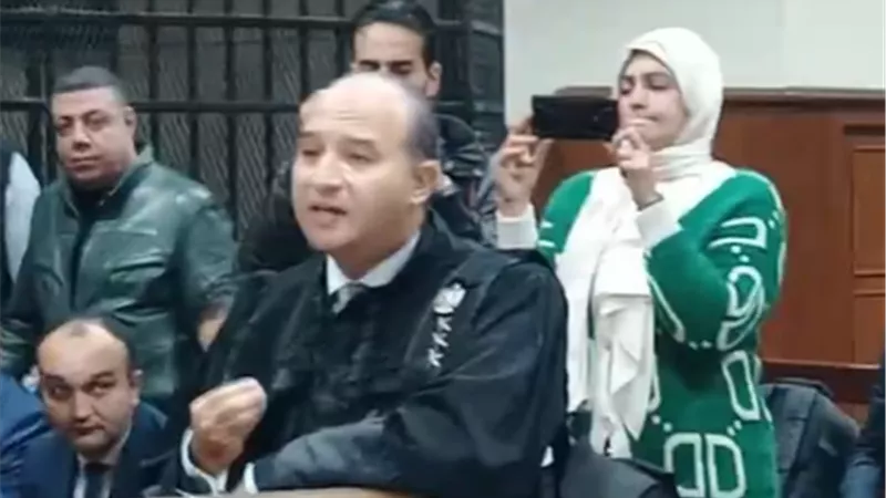 دفاع منة شلبي: التفتيش باطل لهذا السبب