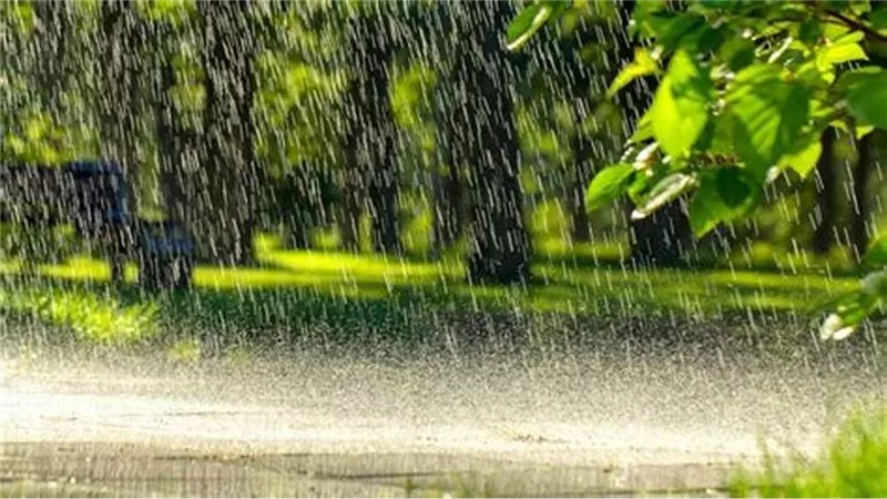 اكثروا من الدعاء« أفصل الأدعية عند نزول المطر»