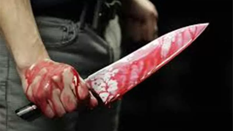 القبض على مضطرب نفسي قتل شقيقته وشرع في إنهاء حياة والدته