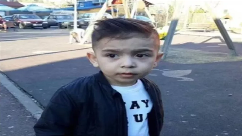 مسنة تطعن حفيدها حتى الموت