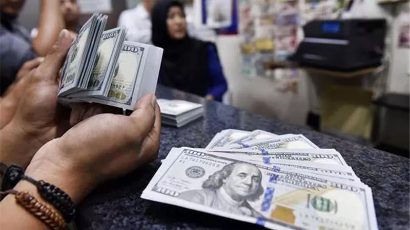 سعر الدولار اليوم الثلاثاء في مصر 17-1-2023