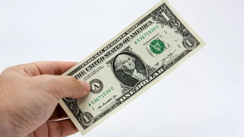 سعر الدولار اليوم الأربعاء في مصر 18-1-2023