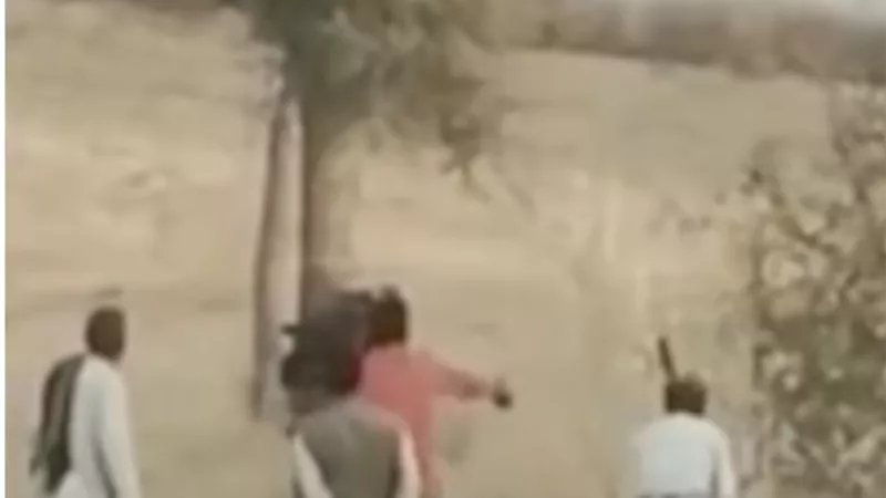 «قطع رأس صاحبه وأكلها» هنود يضربون جملاً حتى الموت