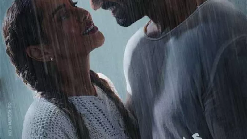 تعرفى على إيرادات الأفلام في دور السينما المصرية 