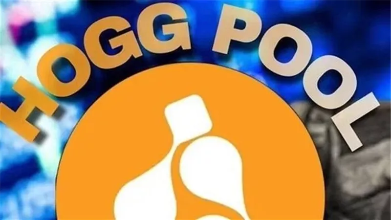اعترافات عصابة هوج بول: نصبنا على الضحايا بهذه الطرق و10000 محفظة لتلقي الأموال