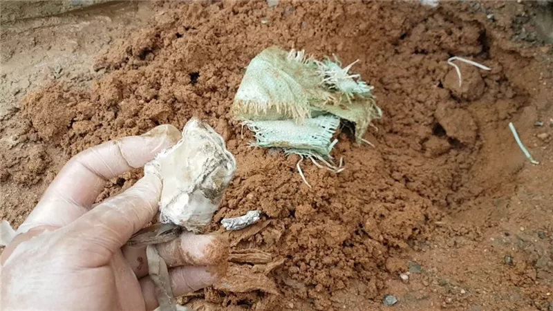 تفسير حلم «العمل المدفون» في المنام وعلاقته بالمال الحرام
