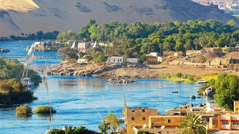 بعد زلزال اسوان| نصائح للأمهات أثناء الهزات الأرضية