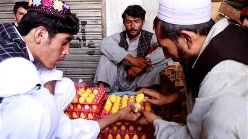 رمضان 2023| حرب البيض المسلوق قبل السحور عادة باكستانية
