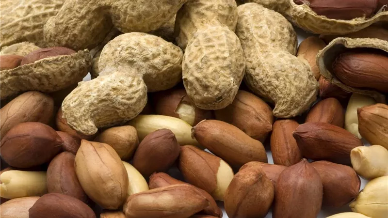تفسير حلم الفول السوداني في المنام وعلاقته بحياة زوجية سعيدة