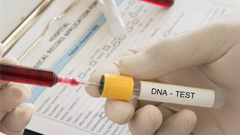 علي جمعة عن تحليل DNA لإثبات النسب: «سفهاء»