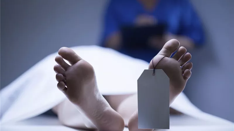 زوج يقتل عروسه بعد الزفاف بأسبوع ويخفي الجثة بتكليف من الجن بأسيوط