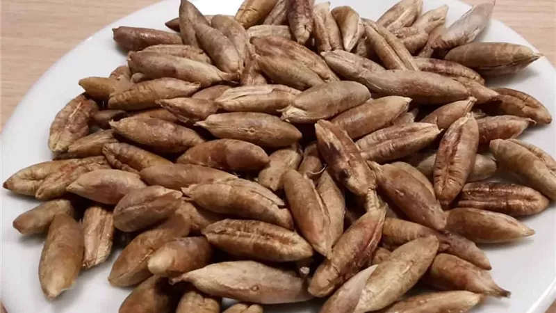 تفسير حلم طحن نواة التمر وعلاقته بتربية الأطفال