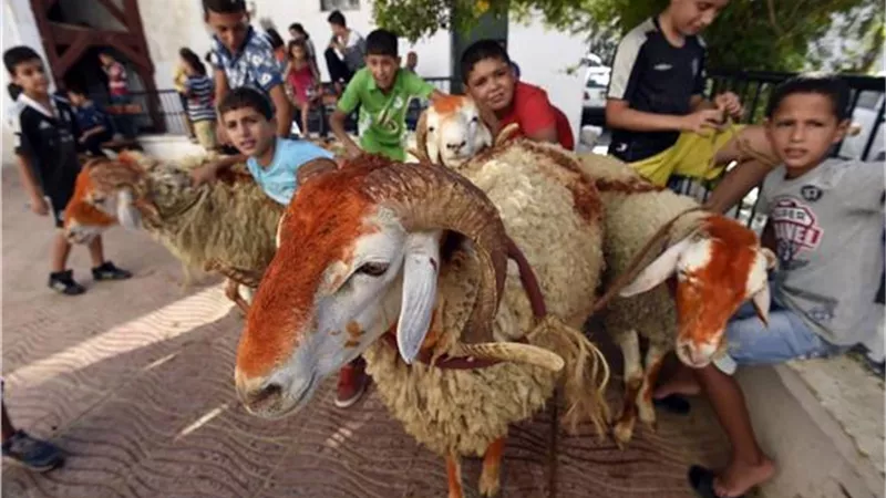 أغرب عادات استقبال عيد الأضحى في الدول العربية والإسلامية