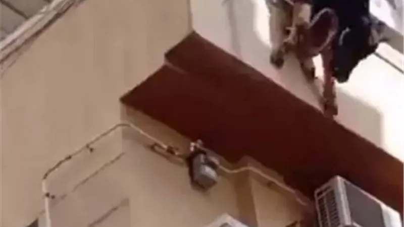 انتحار عجل من الطابق الرابع قبل ذبحه (فيديو)