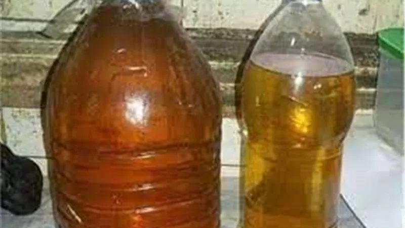 الزيت المستعمل| الموت في ساندويتش طعمية