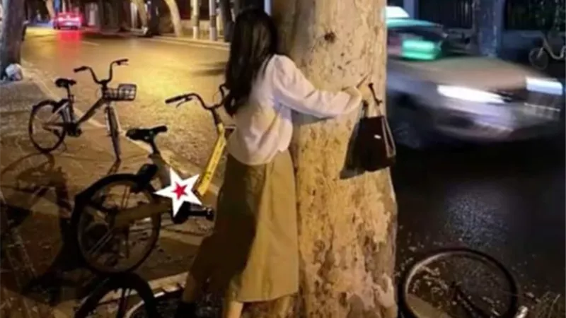 «تحضن أشجار الشوارع» صينية تُثير الجدل: برتاح من جوايا