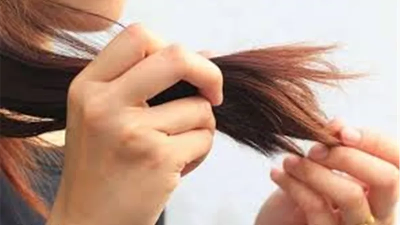 5 نصائح للتخلص من أطراف الشعر المتقصفة