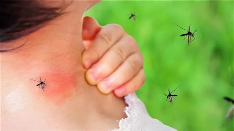 5 طرق للوقاية من حمى الضنك بعد انتشارها في محافظة قنا 