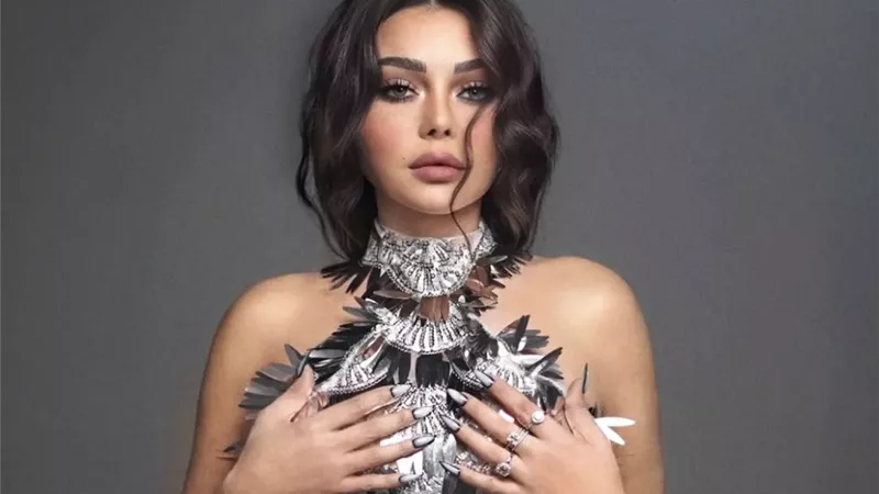 هيفاء وهبي تتحول إلى لوحة فنية بفستان مثير في أحدث جلسة تصوير (صور)