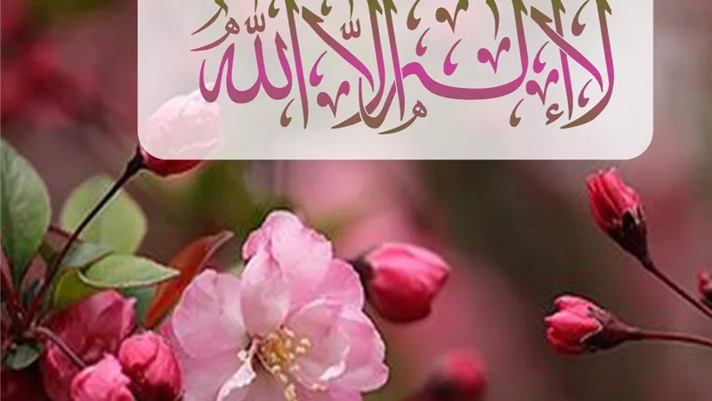 تفسير حلم قول لا إله الا الله في المنام للبنت العزباء والمرأة المتزوجة
