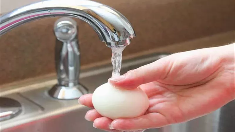 تعرفي على مخاطر غسل البيض وطرق حفظه