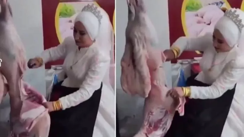 عروس تركية تتحول إلى جزار في ليلة الدخلة (فيديو)