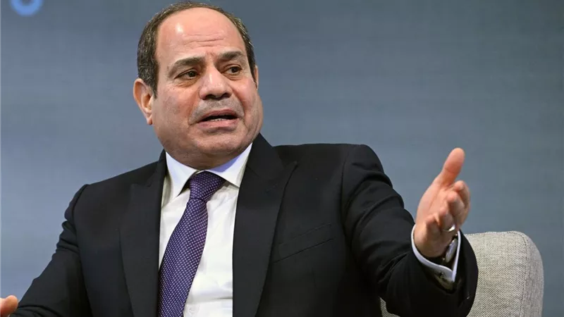 هير نيوز