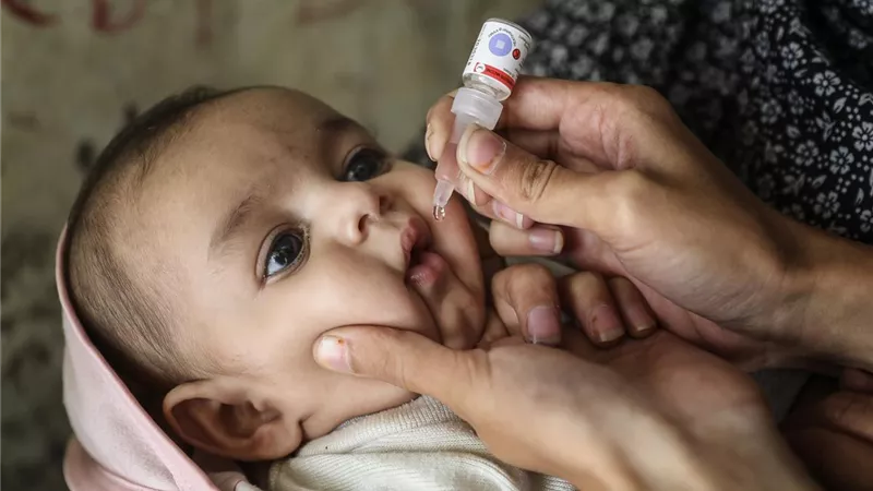 كيف أصبحت مصر خالية من مرض شلل الأطفال؟ «الصحة» تكشف مفاجأة