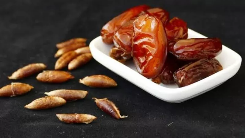 ماذا يحدث عند إضافة نواة التمر إلى شوربة اللحمة؟
