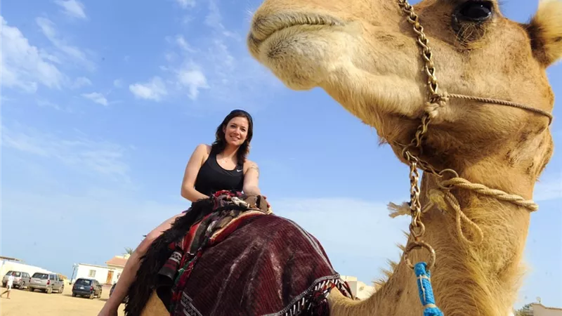 تفسير حلم ركوب الجمل فى المنام للعزباء والمتزوجة والحامل