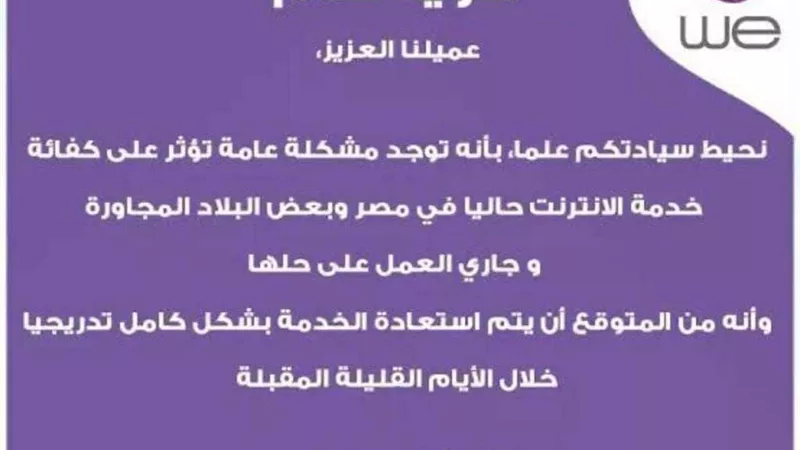 المصرية للاتصالات: عطل تقني يؤثر على الإنترنت ببعض المناطق وجاري استعادة الخدمات