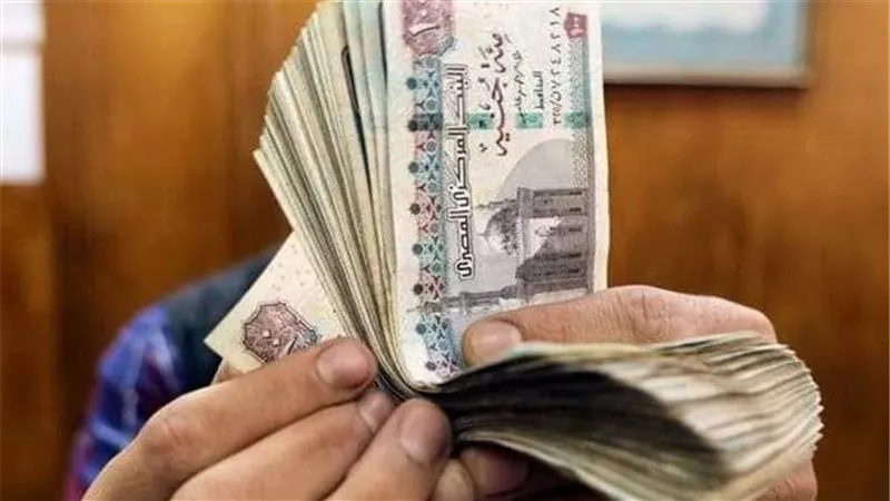 موعد صرف مرتبات شهر ديسمبر 2023 وتحذيرات وزارة المالية 