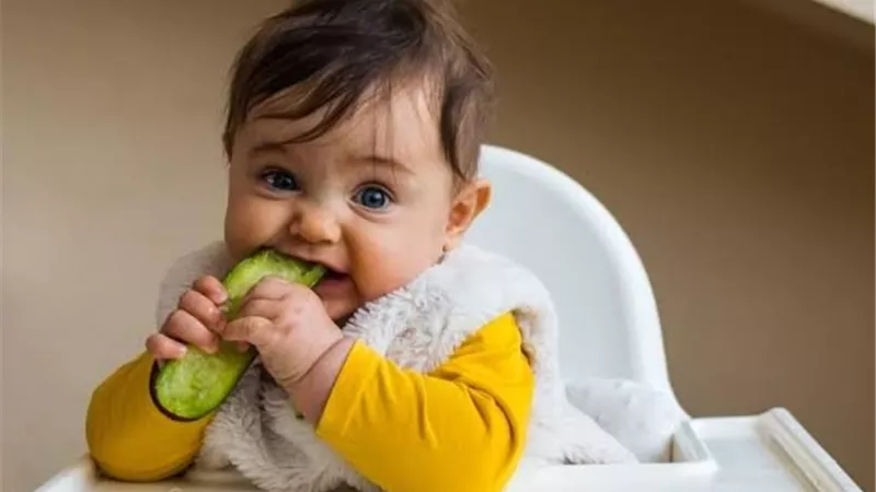 3 فوائد تجعل الخيار غذاءً أساسيًا لرضيعك
