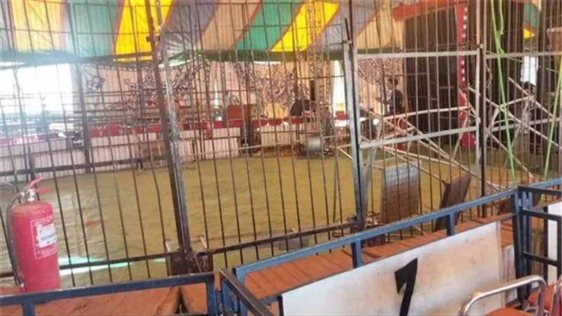 أول قرار من التعليم بعد حادث انهيار مدرج سيرك على طلاب بالوادي الجديد