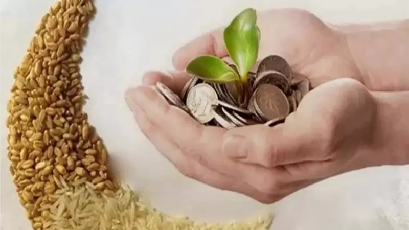 قيمة زكاة الفطر وموعد إخراجها في رمضان 2024