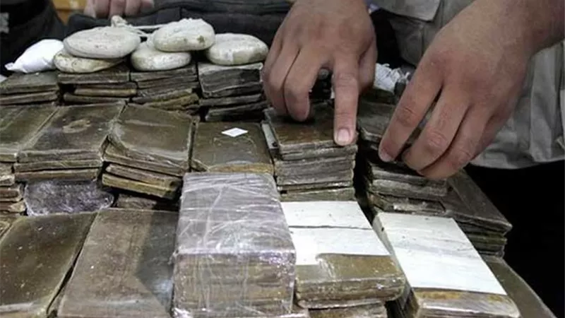 ضبط 15 كيلو حشيش بحوزة عاطلين بالشرقية