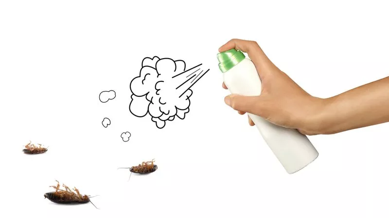 طرق سحرية للتخلص من الصراصير والنمل في المنزل
