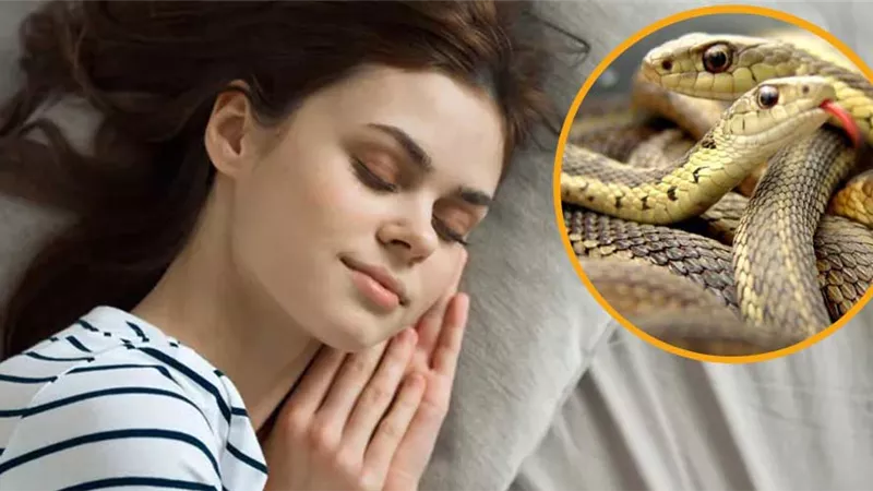 رأيت أني قتلت ثعبان في المنام «ما تفسير الحلم؟»