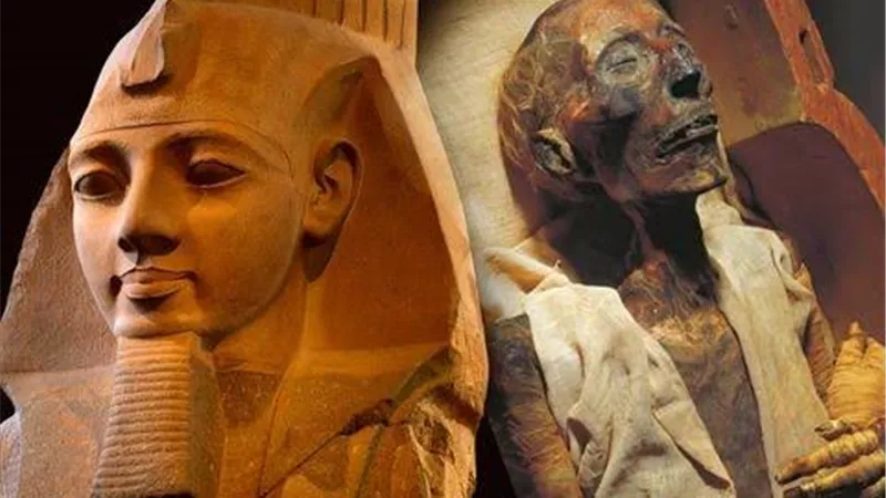 عودة رأس تمثال رمسيس الثاني المسروق إلى مصر بعد غياب 30 عامًا