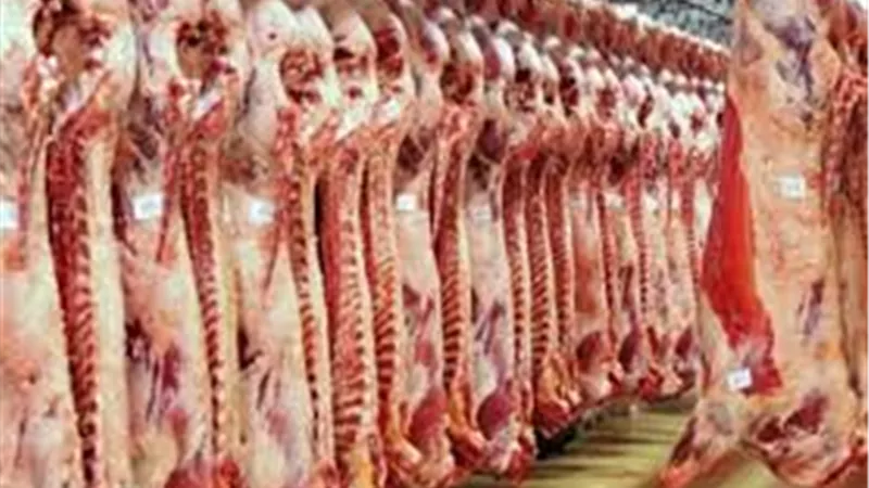  أسعار اللحوم اليوم الخميس في منافذ وزارة الزراعة والمجمعات الاستهلاكية والأسواق