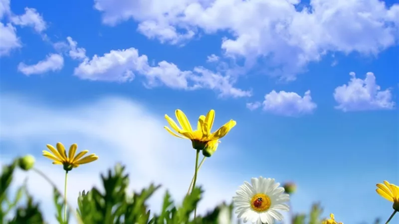 حالة الطقس ودرجات الحرارة اليوم الإثنين 29-4-2024