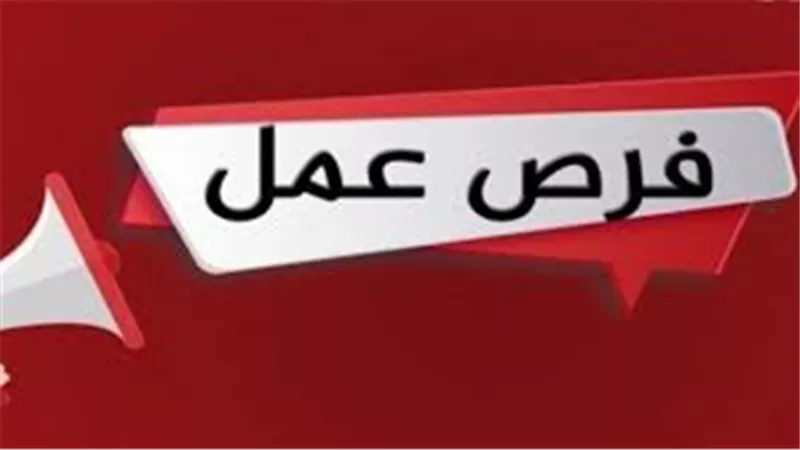 وظائف للإناث بالقطاع الخاص في مطروح والساحل الشمالي.. الشروط والأوراق المطلوبة