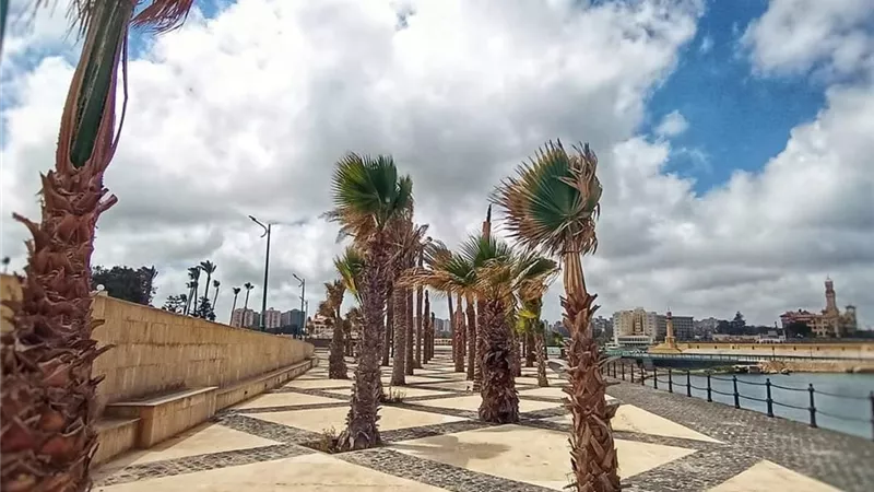 حدائق المنتزة تتزين لاستقبال زائريها في 