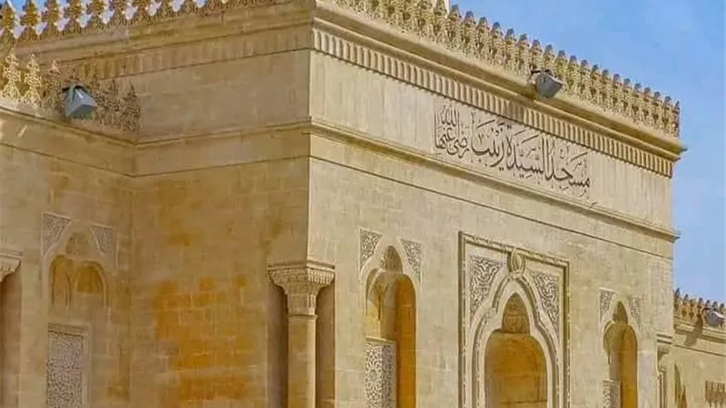 هير نيوز
