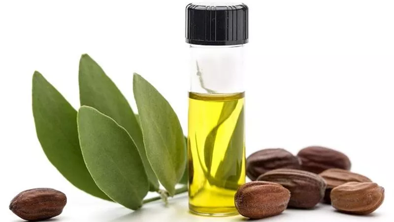 10 فوائد لزيت الجوجوبا تدفعك لاستعماله يوميًا