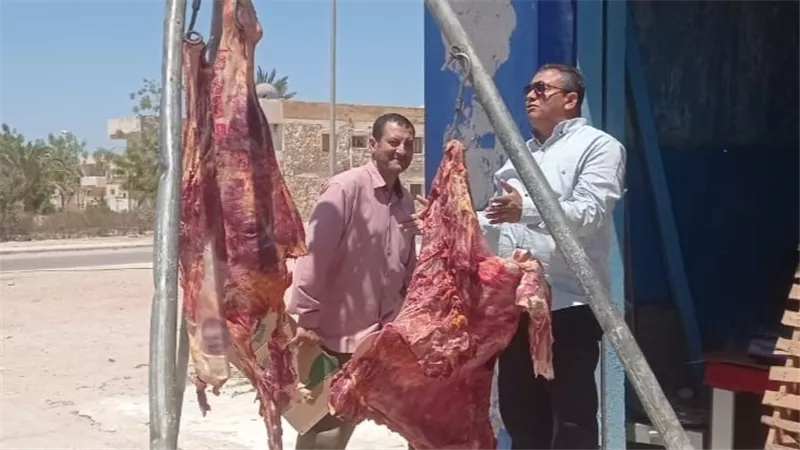 بـ300 جنيه.. رئيس طور سيناء يتابع مبادرة تخفيض أسعار اللحوم
